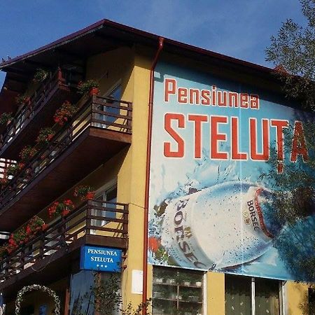 Pensiunea Steluta 普雷代亚尔 外观 照片