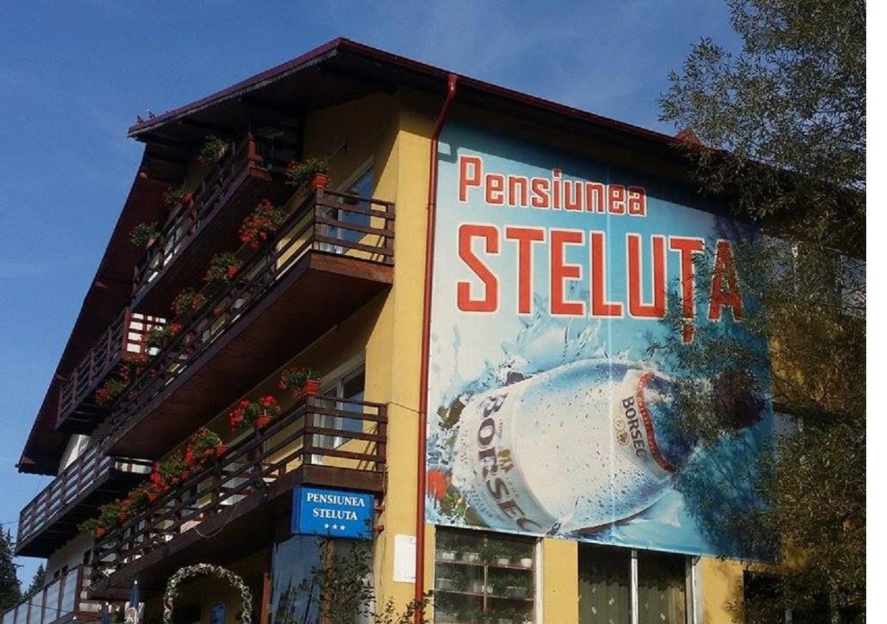 Pensiunea Steluta 普雷代亚尔 外观 照片